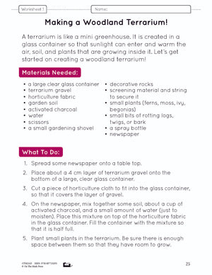 A Habitat Creation - creating a woodland terrarium lesson and worksheets Grade 4