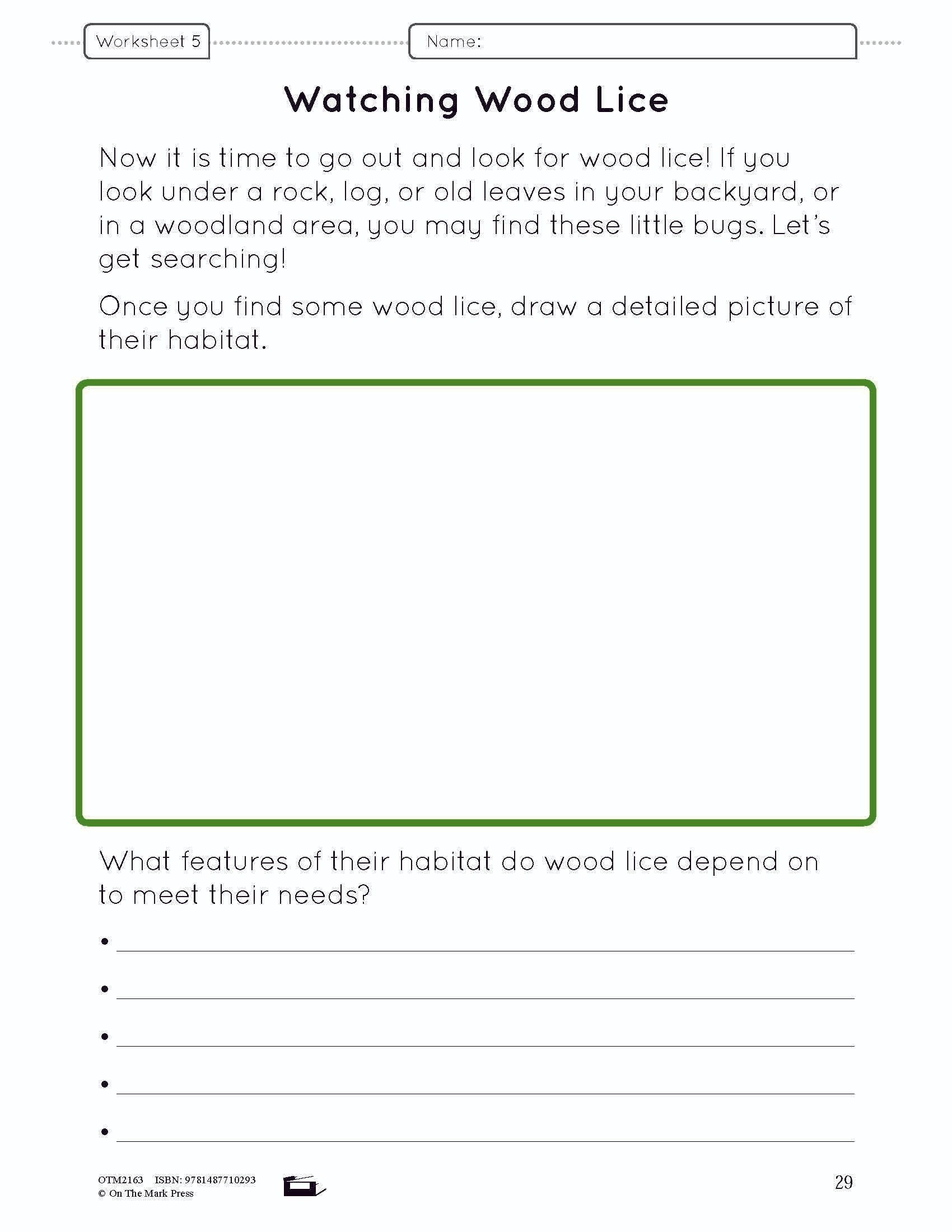 A Habitat Creation - creating a woodland terrarium lesson and worksheets Grade 4