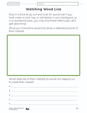 A Habitat Creation - creating a woodland terrarium lesson and worksheets Grade 4