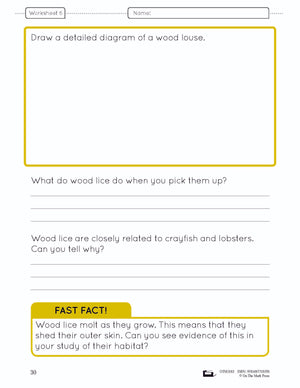 A Habitat Creation - creating a woodland terrarium lesson and worksheets Grade 4