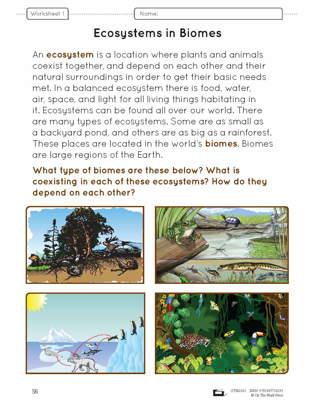 Balance in the Natural World Lesson Plan and Student Worksheets Grade 4
