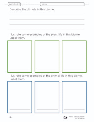 Balance in the Natural World Lesson Plan and Student Worksheets Grade 4