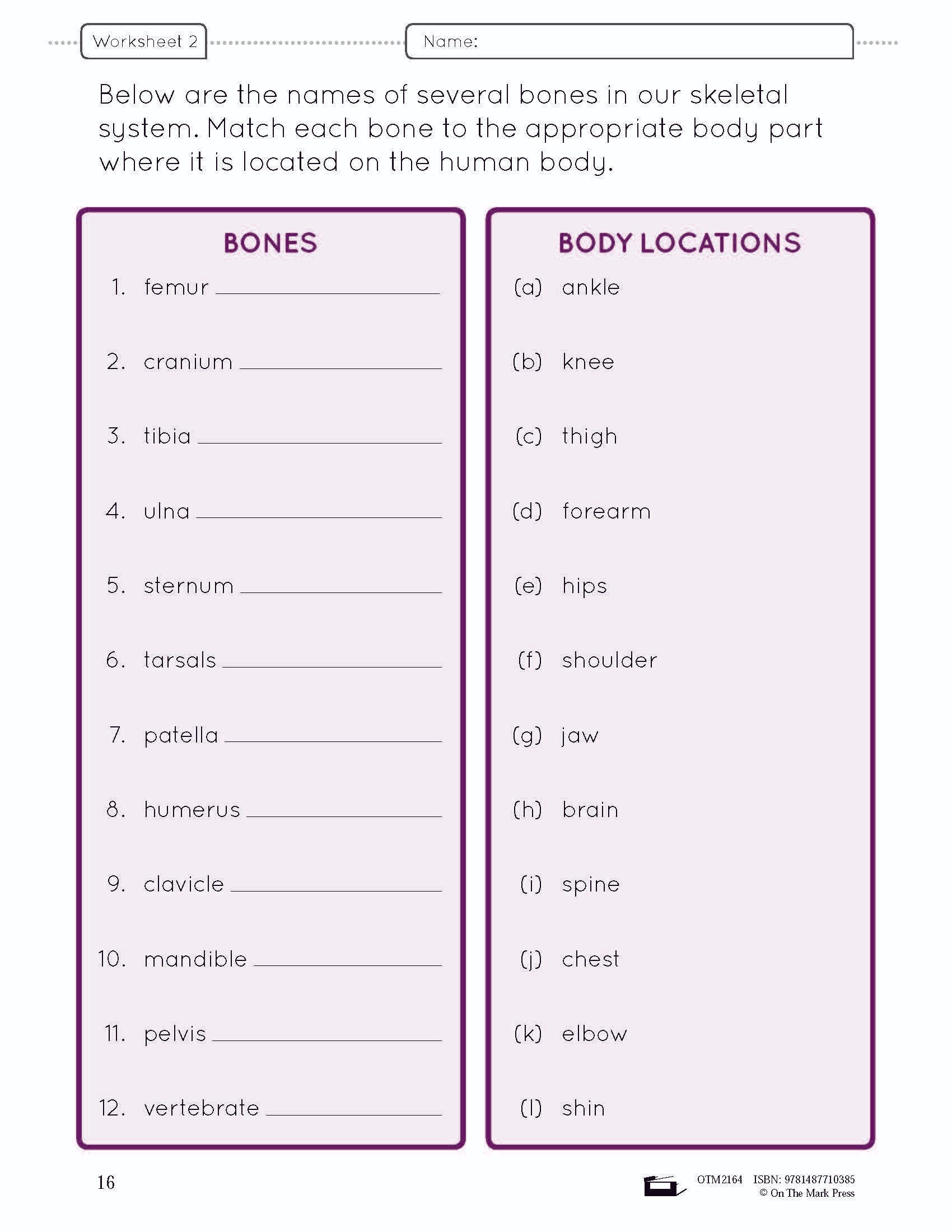 Systems in the Body e-Lesson Plan Grade 5