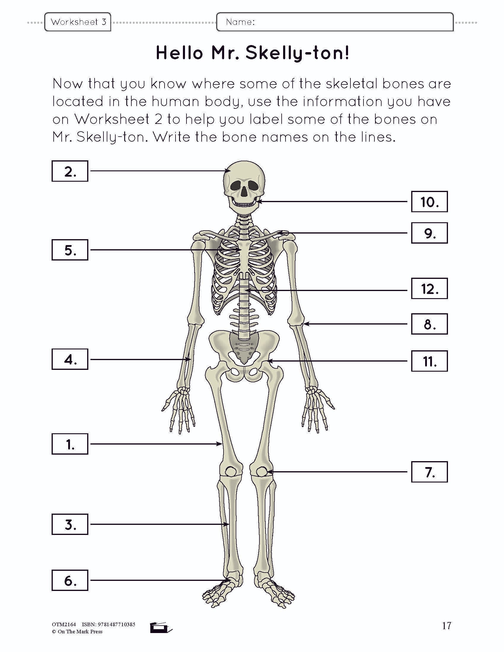 Systems in the Body e-Lesson Plan Grade 5