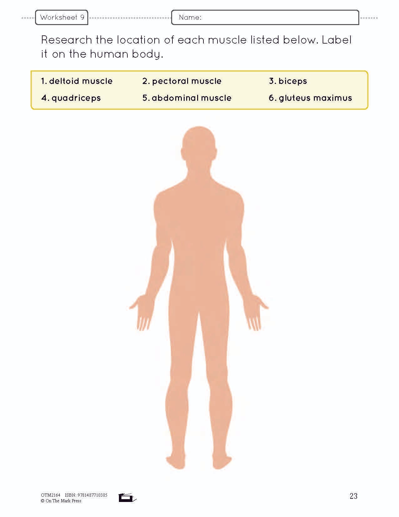 Systems in the Body e-Lesson Plan Grade 5