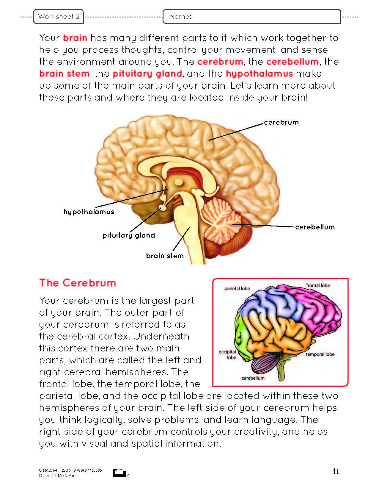 Systems in the Body e-Lesson Plan Grade 5