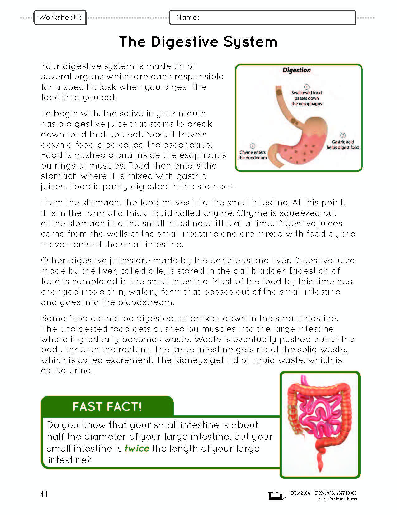 Systems in the Body e-Lesson Plan Grade 5