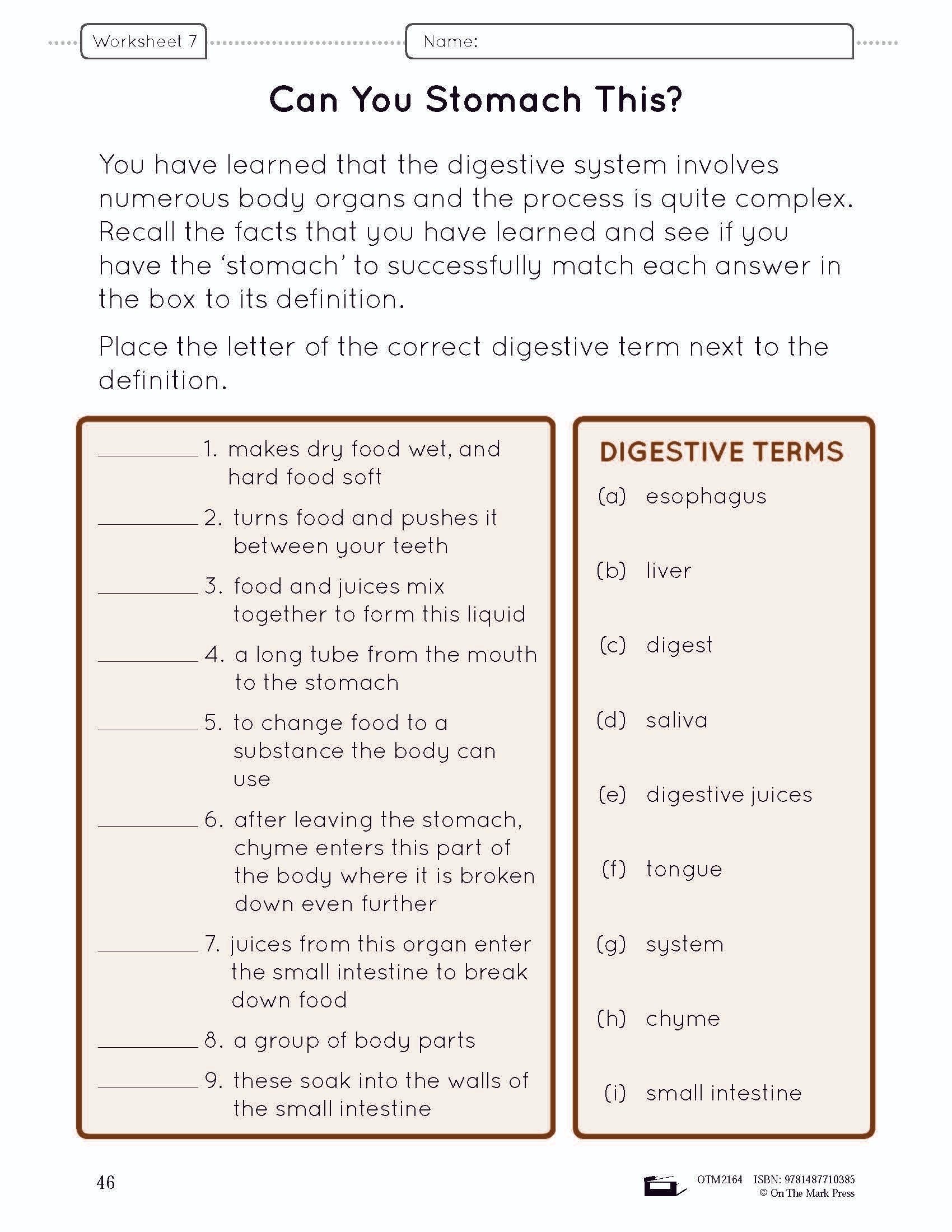 Systems in the Body e-Lesson Plan Grade 5