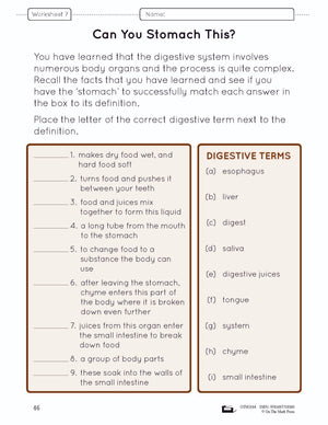 Systems in the Body e-Lesson Plan Grade 5
