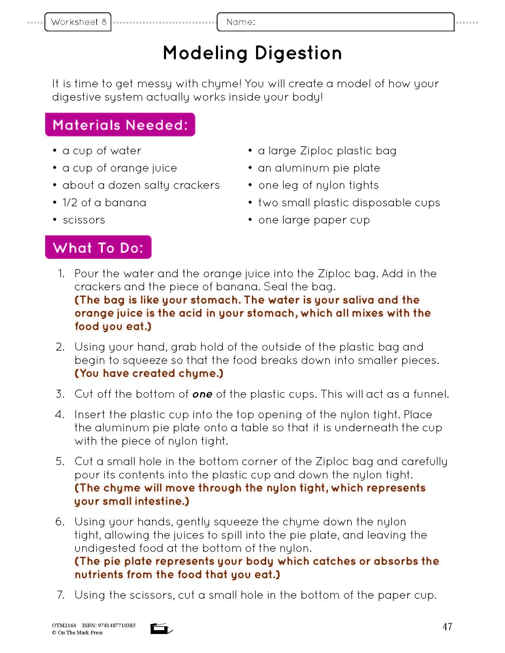 Systems in the Body e-Lesson Plan Grade 5