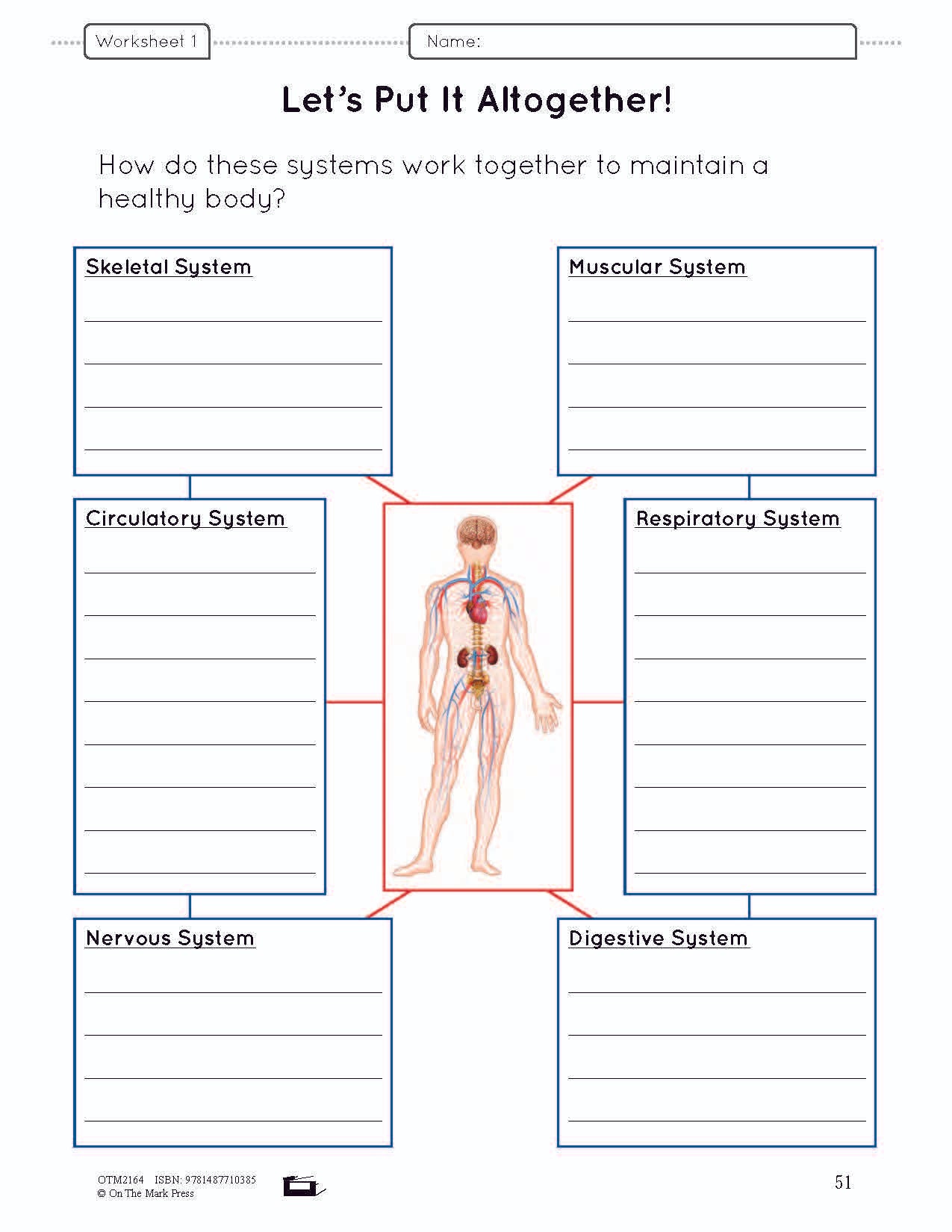 Body Systems Lesson & Worksheets e-Lesson Plan Grade 5