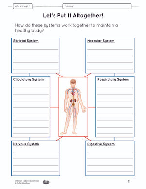 Body Systems Lesson & Worksheets e-Lesson Plan Grade 5