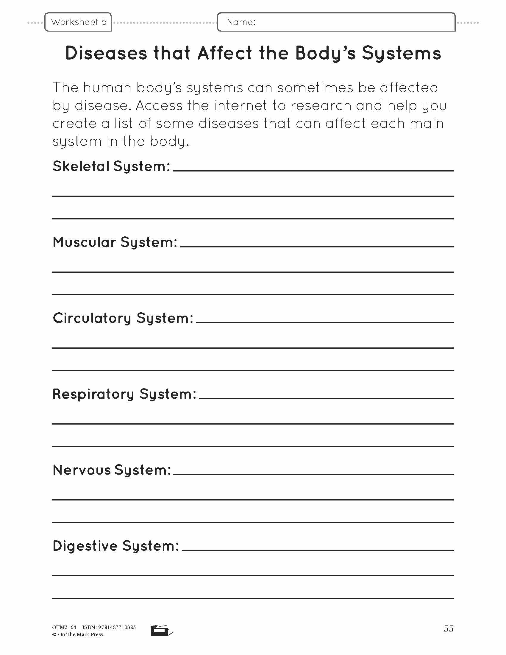 Body Systems Lesson & Worksheets e-Lesson Plan Grade 5
