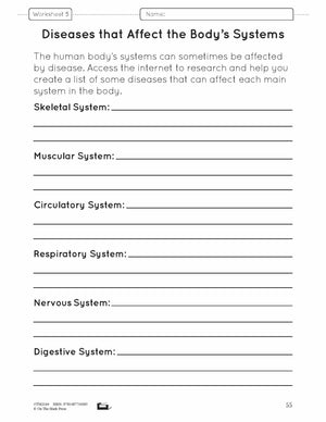Body Systems Lesson & Worksheets e-Lesson Plan Grade 5