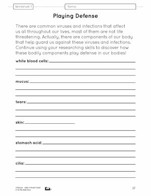 Body Systems Lesson & Worksheets e-Lesson Plan Grade 5