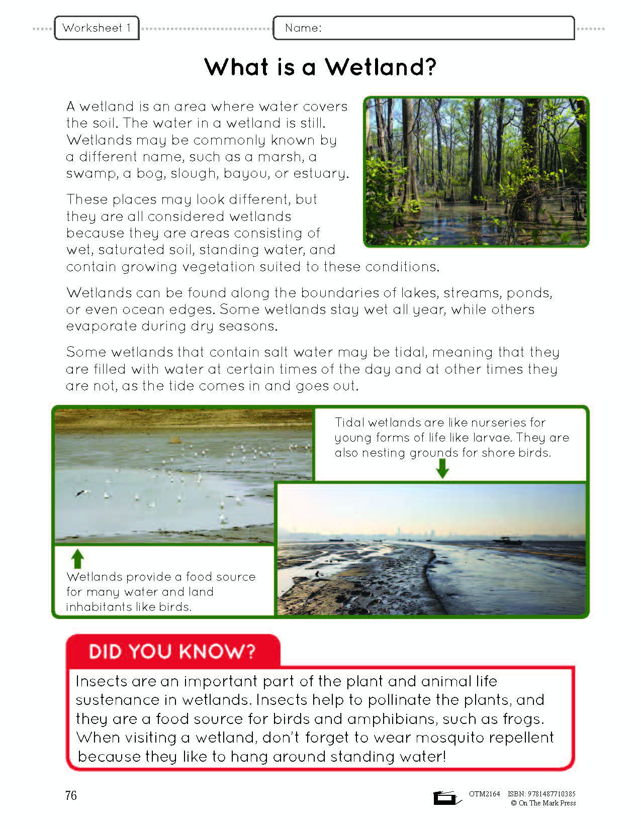 Wetlands e-Lesson Plan Grade 5