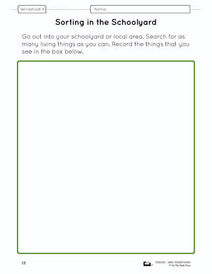 The Animal Kingdom e-Lesson Plan Grade 6