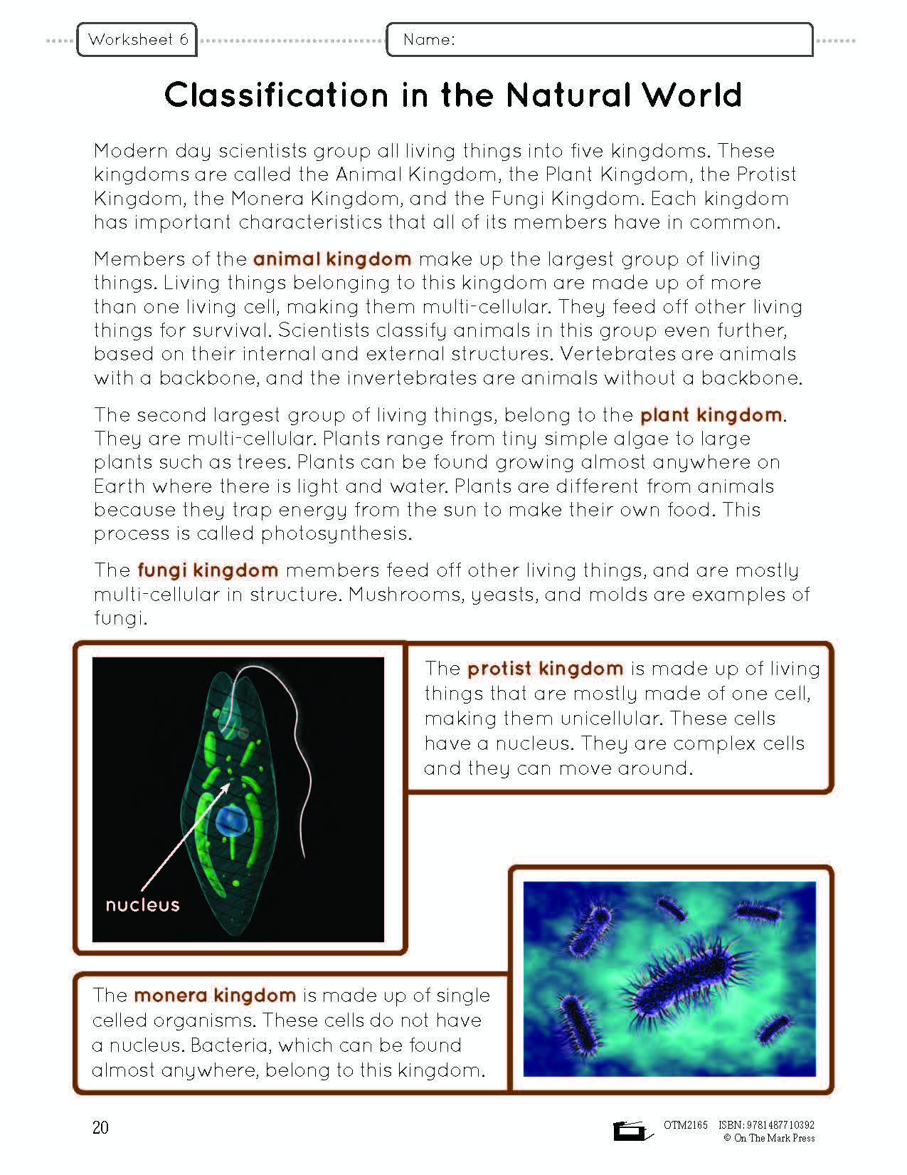 The Animal Kingdom e-Lesson Plan Grade 6