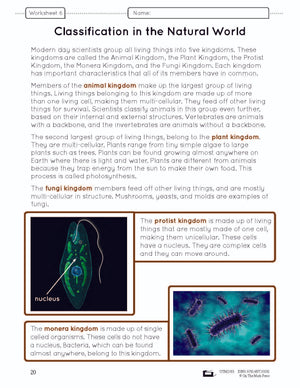 The Animal Kingdom e-Lesson Plan Grade 6