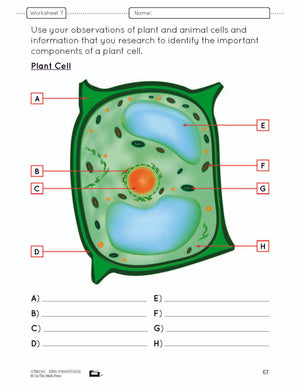 Microscopic Work Ge-Lesson Plan Grade 6