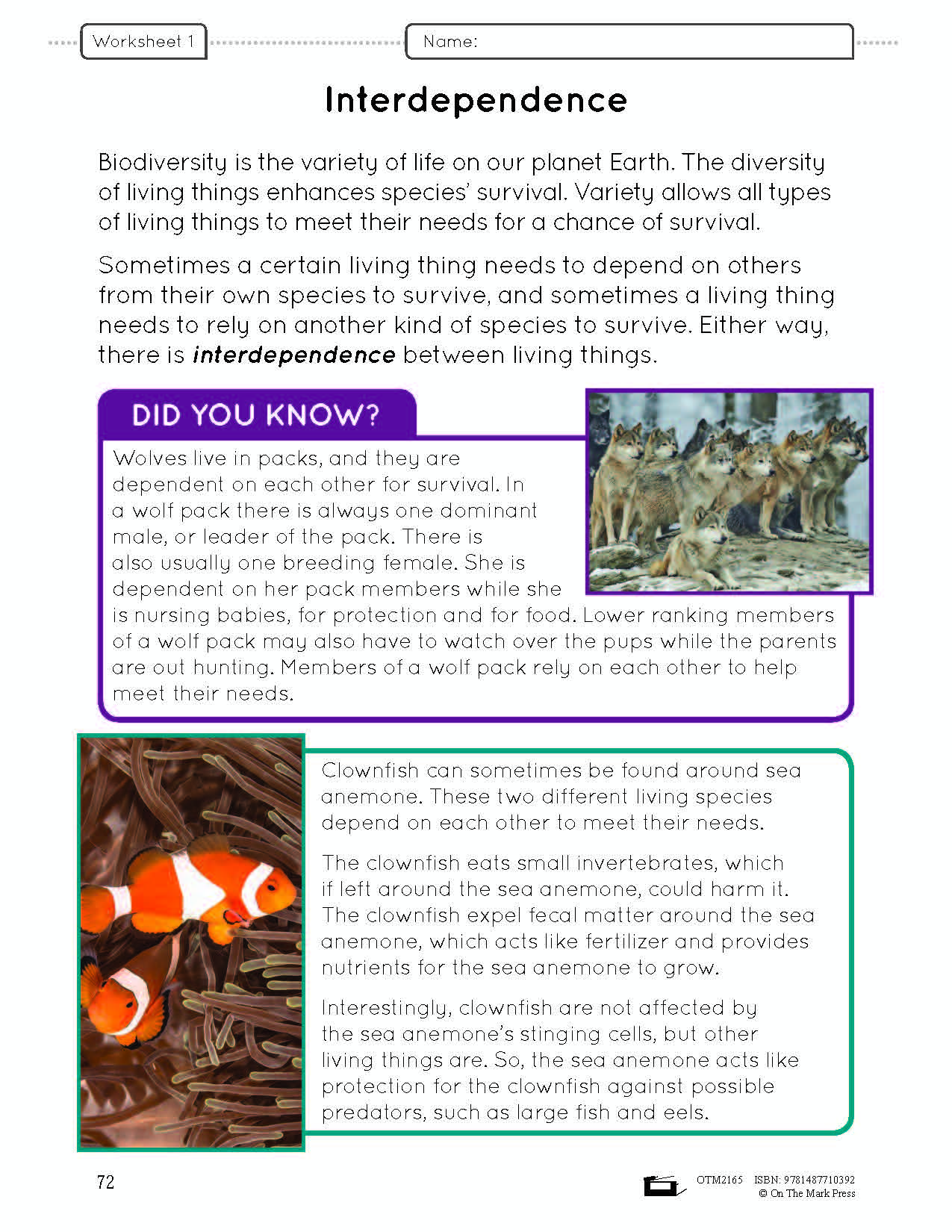 Because of Diversity Lesson and Worksheets Grade 6