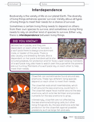 Because of Diversity Lesson and Worksheets Grade 6