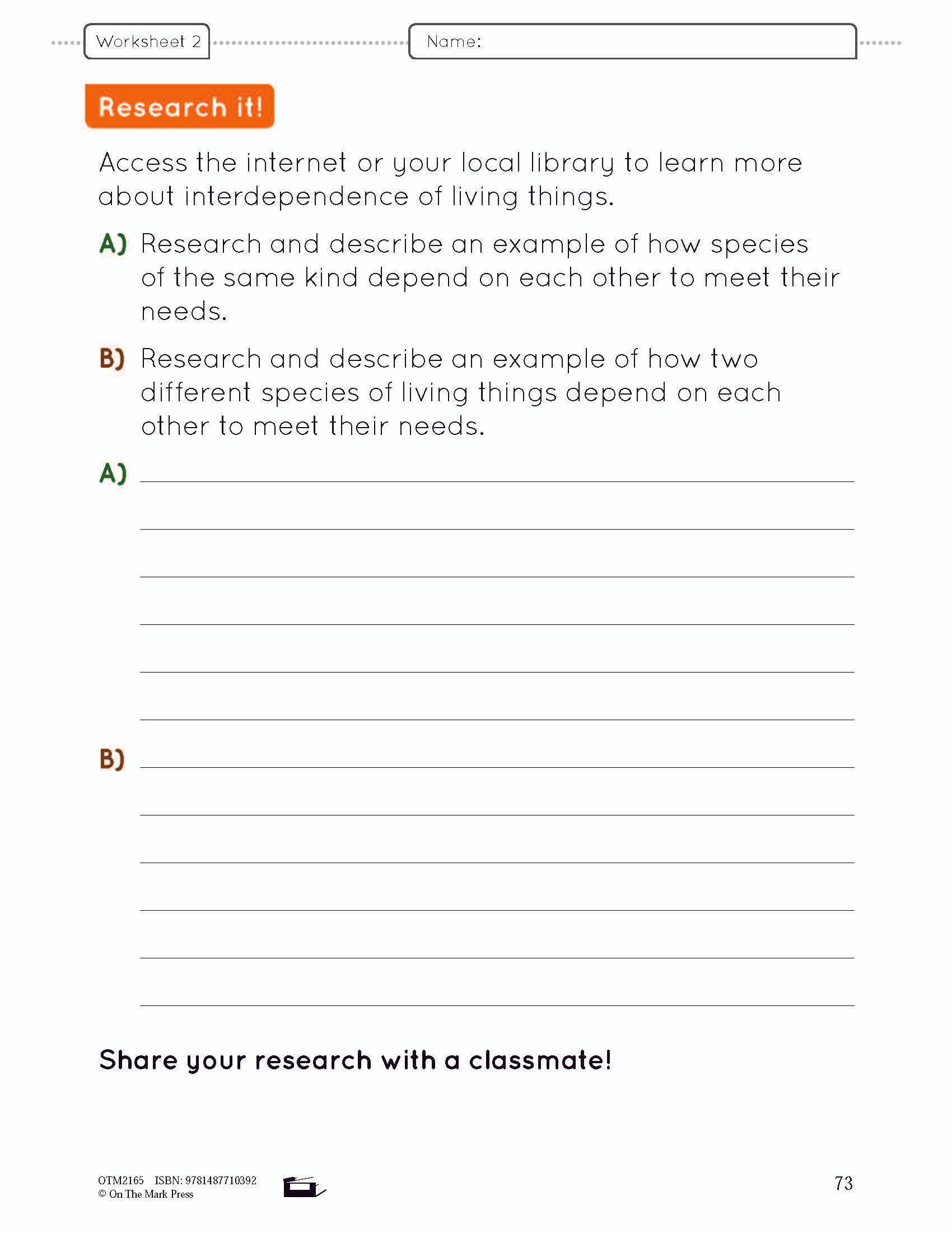 Because of Diversity Lesson and Worksheets Grade 6