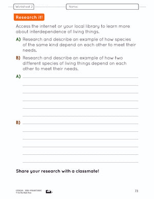 Because of Diversity Lesson and Worksheets Grade 6