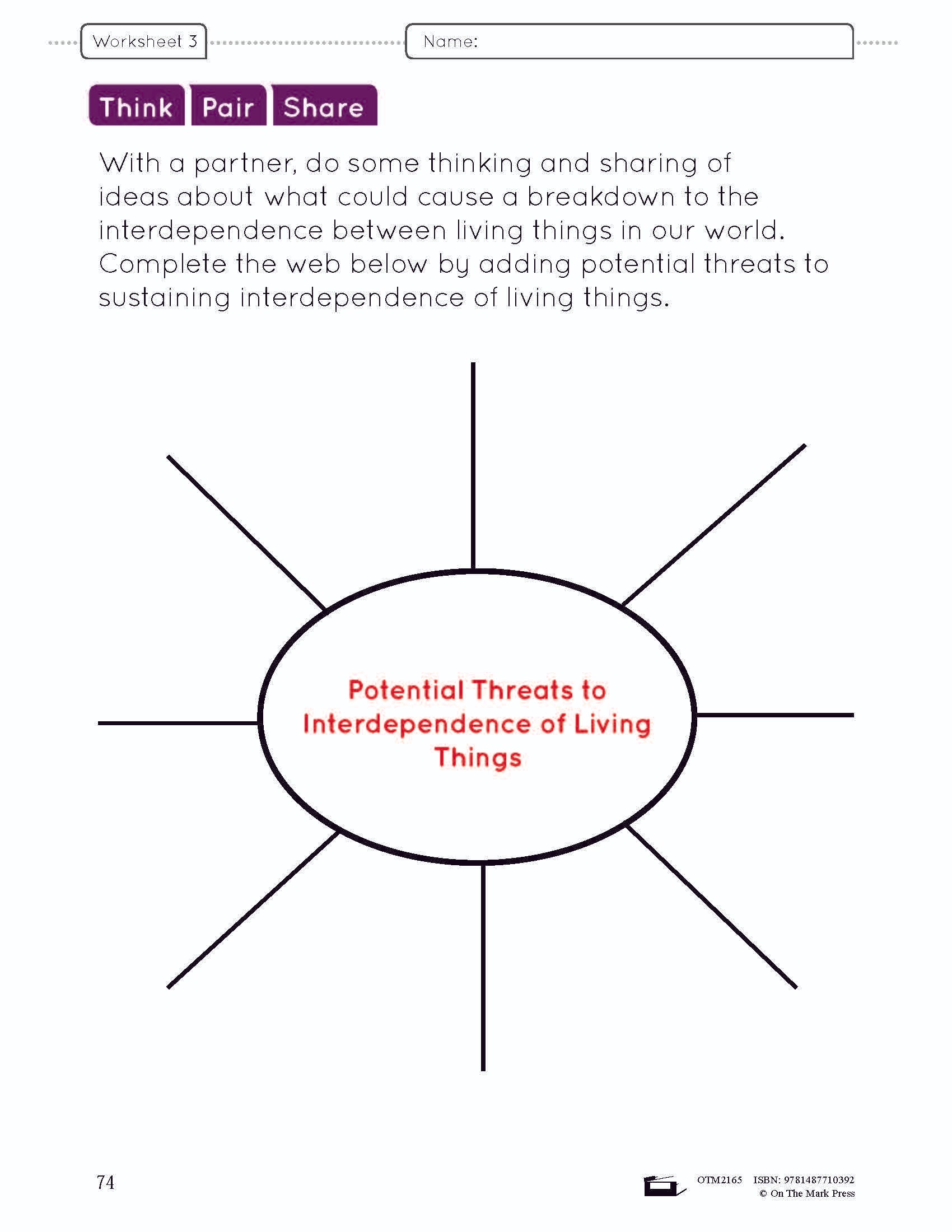 Because of Diversity Lesson and Worksheets Grade 6