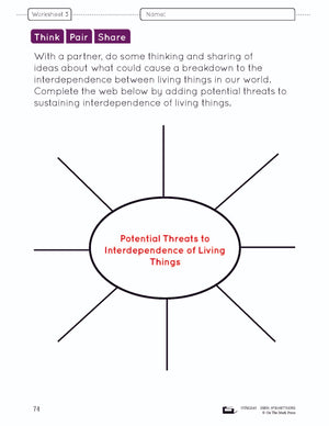 Because of Diversity Lesson and Worksheets Grade 6