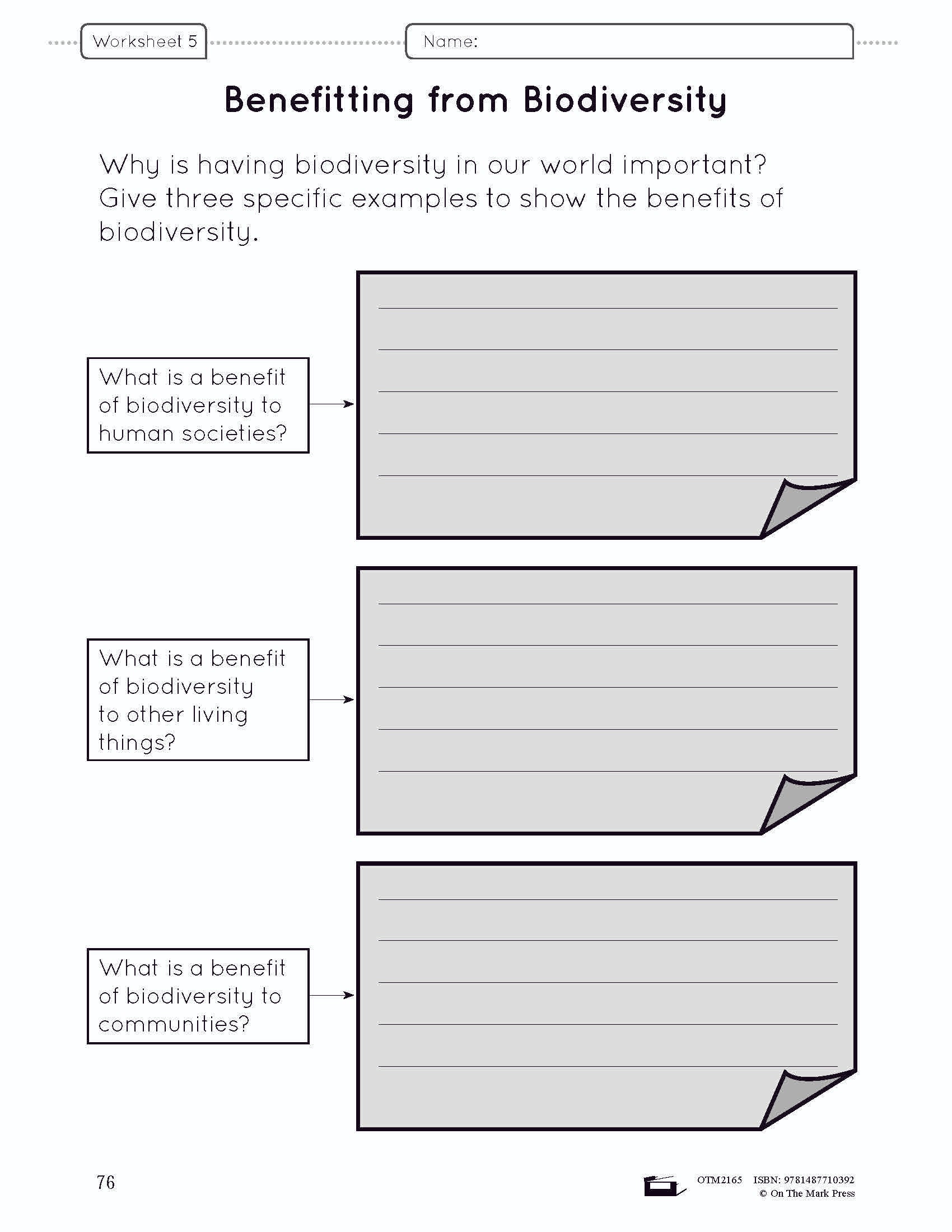 Because of Diversity Lesson and Worksheets Grade 6