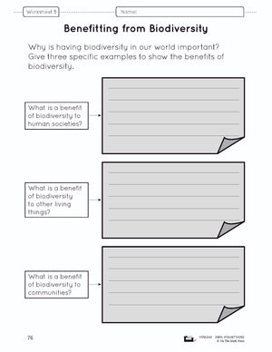 Because of Diversity Lesson and Worksheets Grade 6