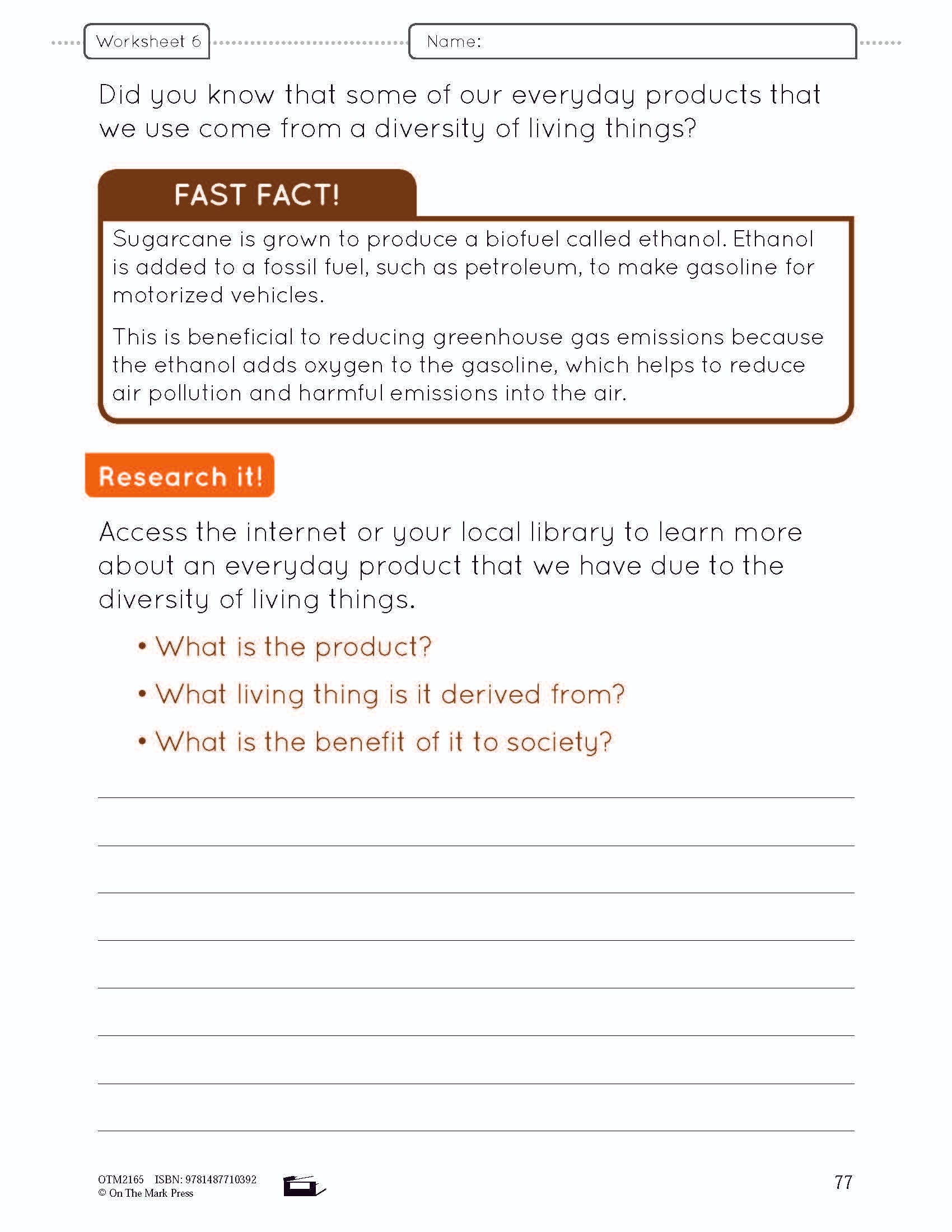 Because of Diversity Lesson and Worksheets Grade 6