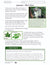 Learning About Leaves e-Lesson Plan Grade 6