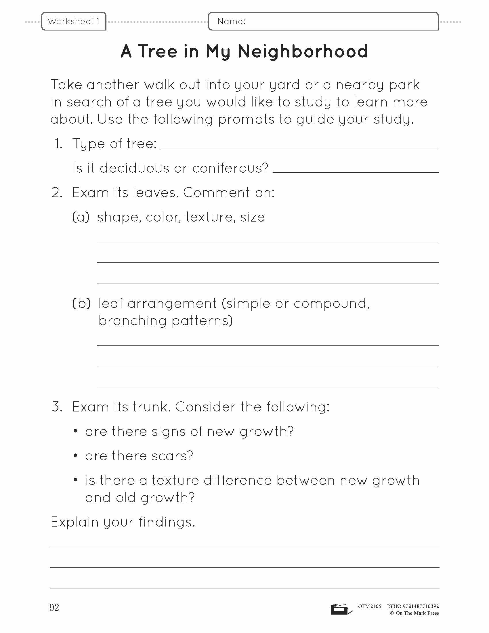 A Forest of Trees Lesson Plan and Worksheets Grade 6