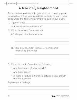 A Forest of Trees Lesson Plan and Worksheets Grade 6