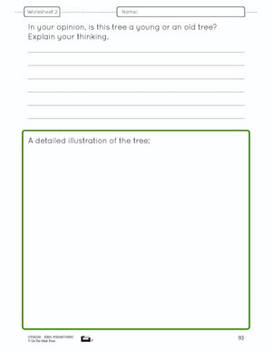 A Forest of Trees Lesson Plan and Worksheets Grade 6