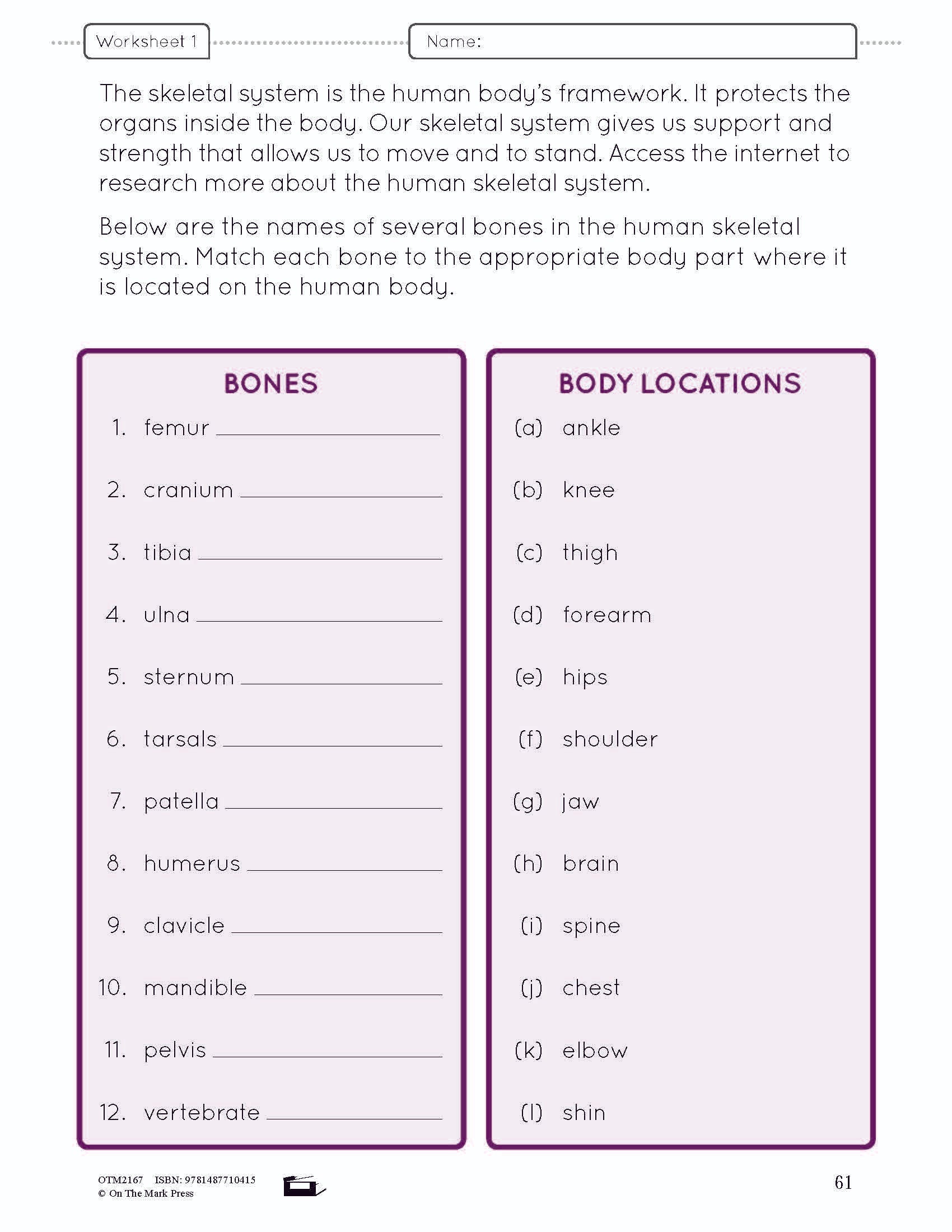 Systems in the Body e-Lesson Plan Grade 8