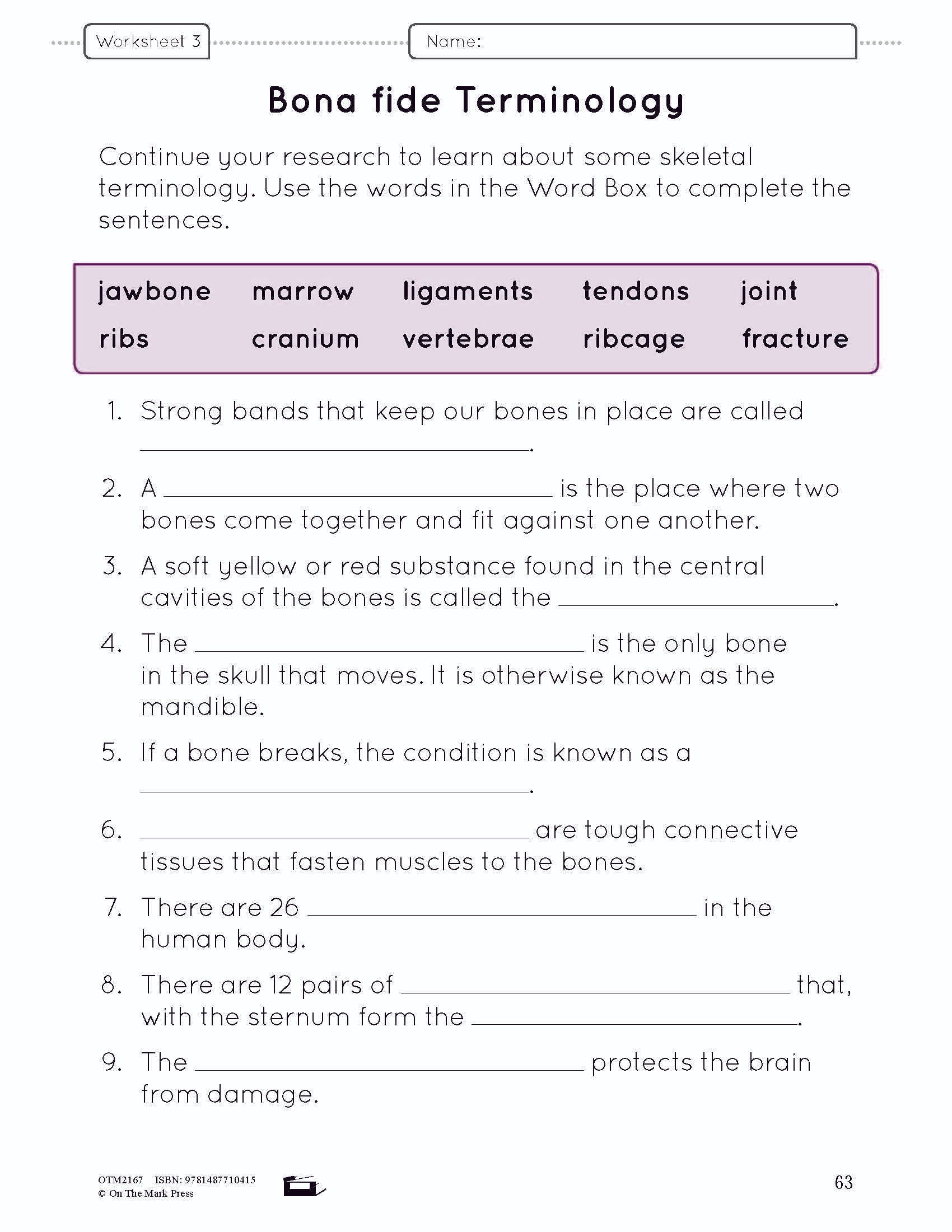 Systems in the Body e-Lesson Plan Grade 8