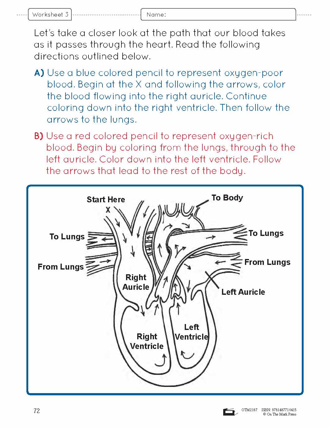 Systems in the Body e-Lesson Plan Grade 8