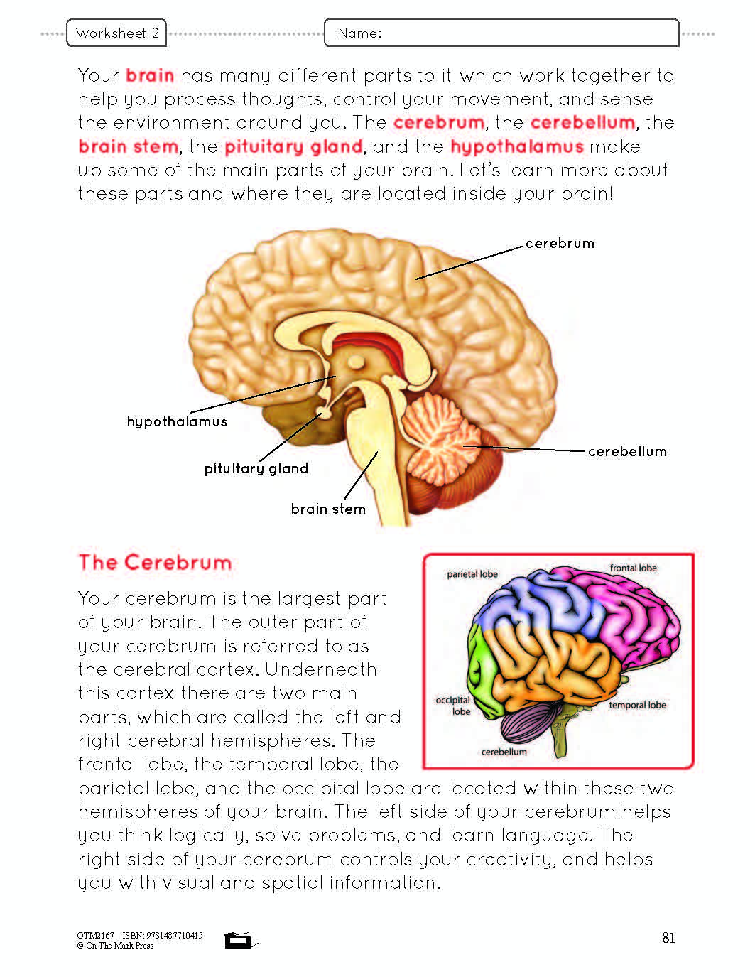 Systems in the Body e-Lesson Plan Grade 8