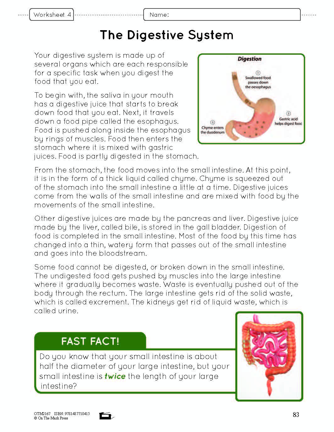 Systems in the Body e-Lesson Plan Grade 8