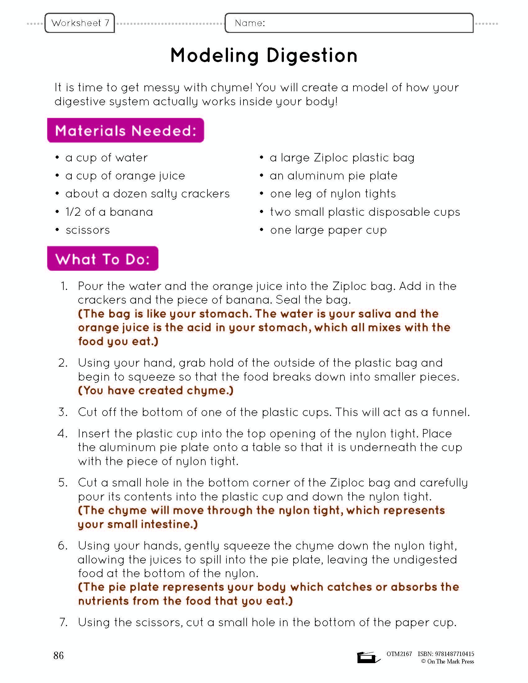 Systems in the Body e-Lesson Plan Grade 8