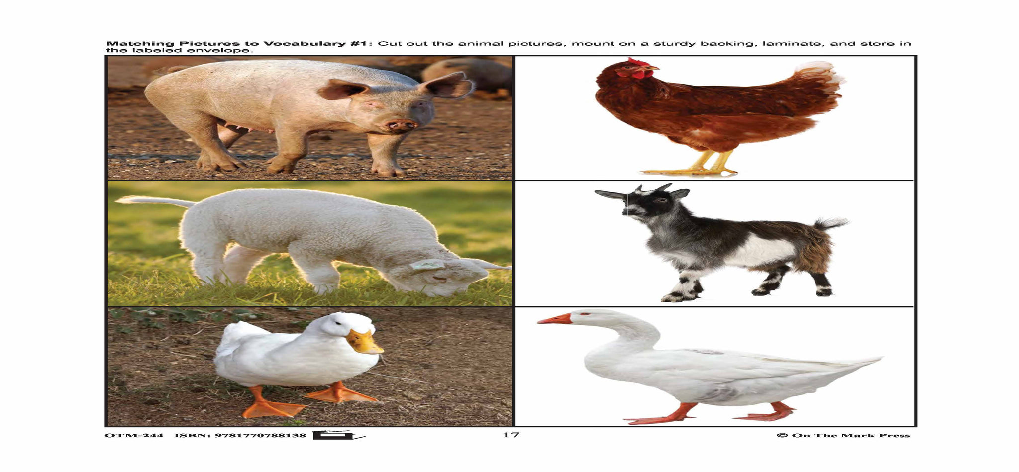 Farmyard Friends - 5 Vocabulary Activities Prek-K