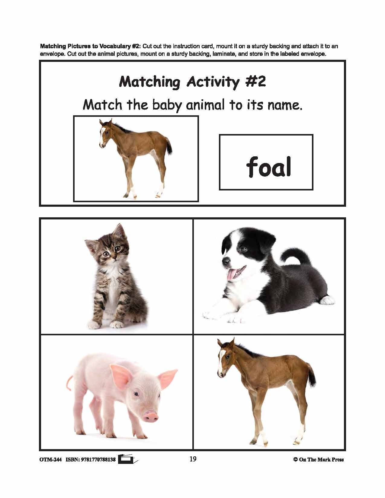 Farmyard Friends - 5 Vocabulary Activities Prek-K