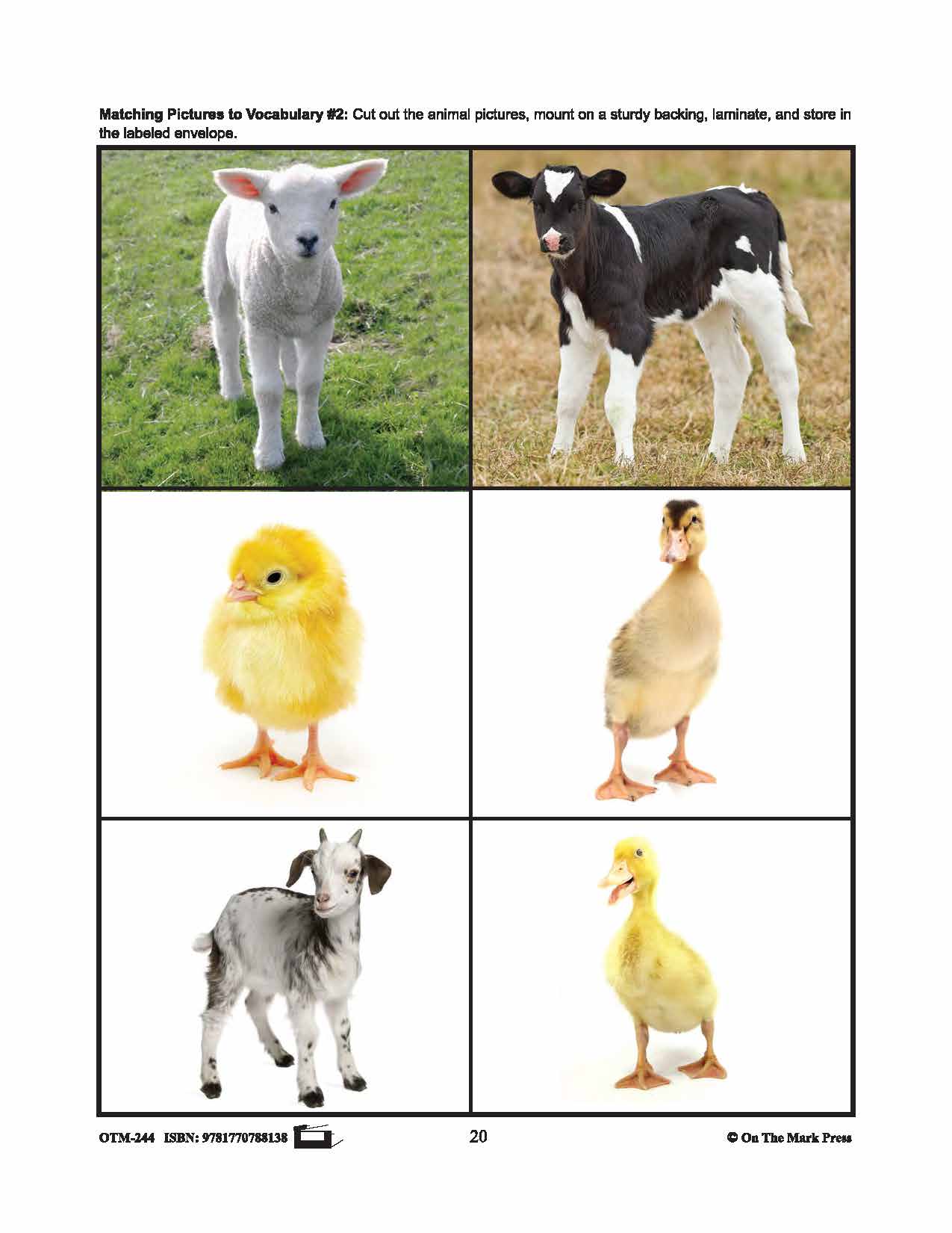 Farmyard Friends - 5 Vocabulary Activities Prek-K