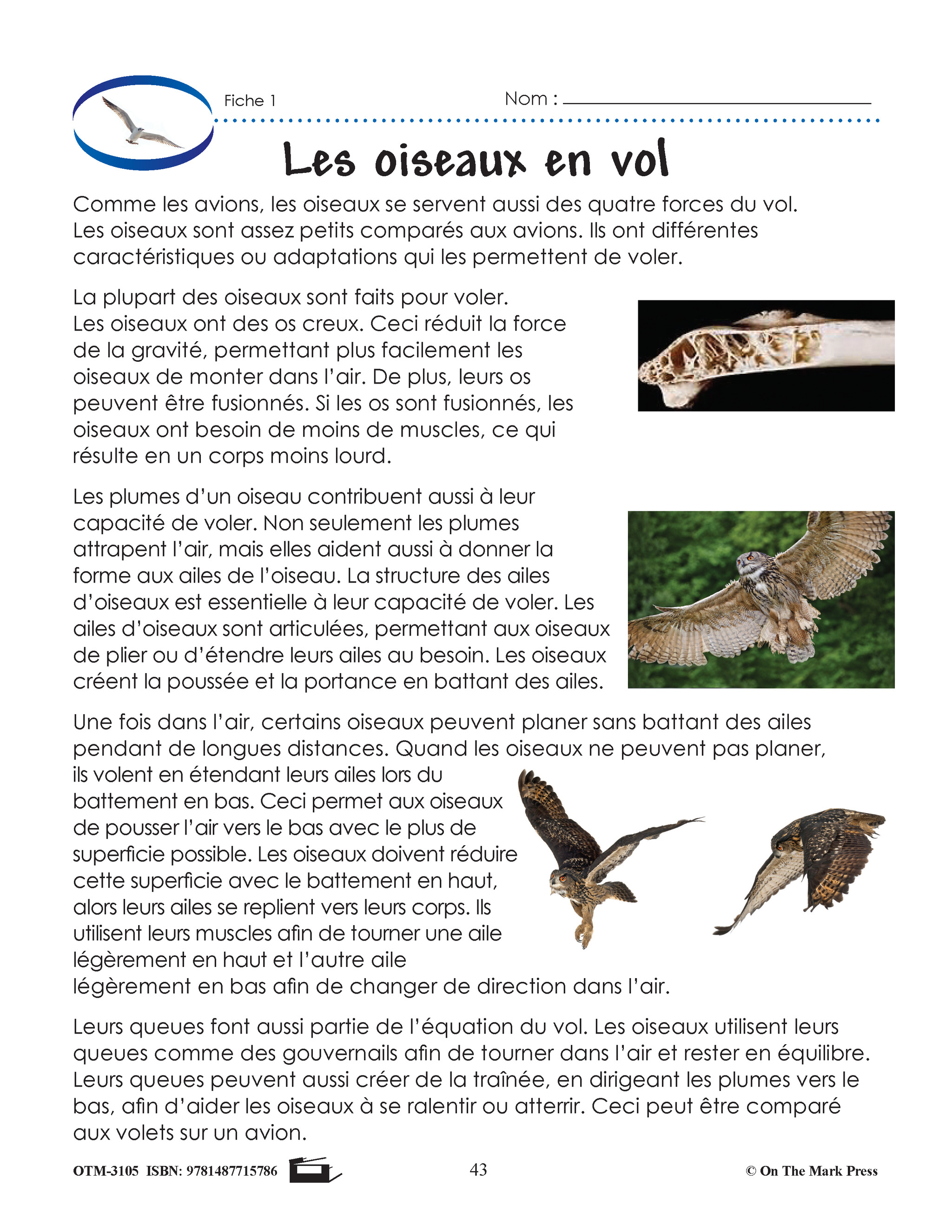 Sciences physiques 6e année