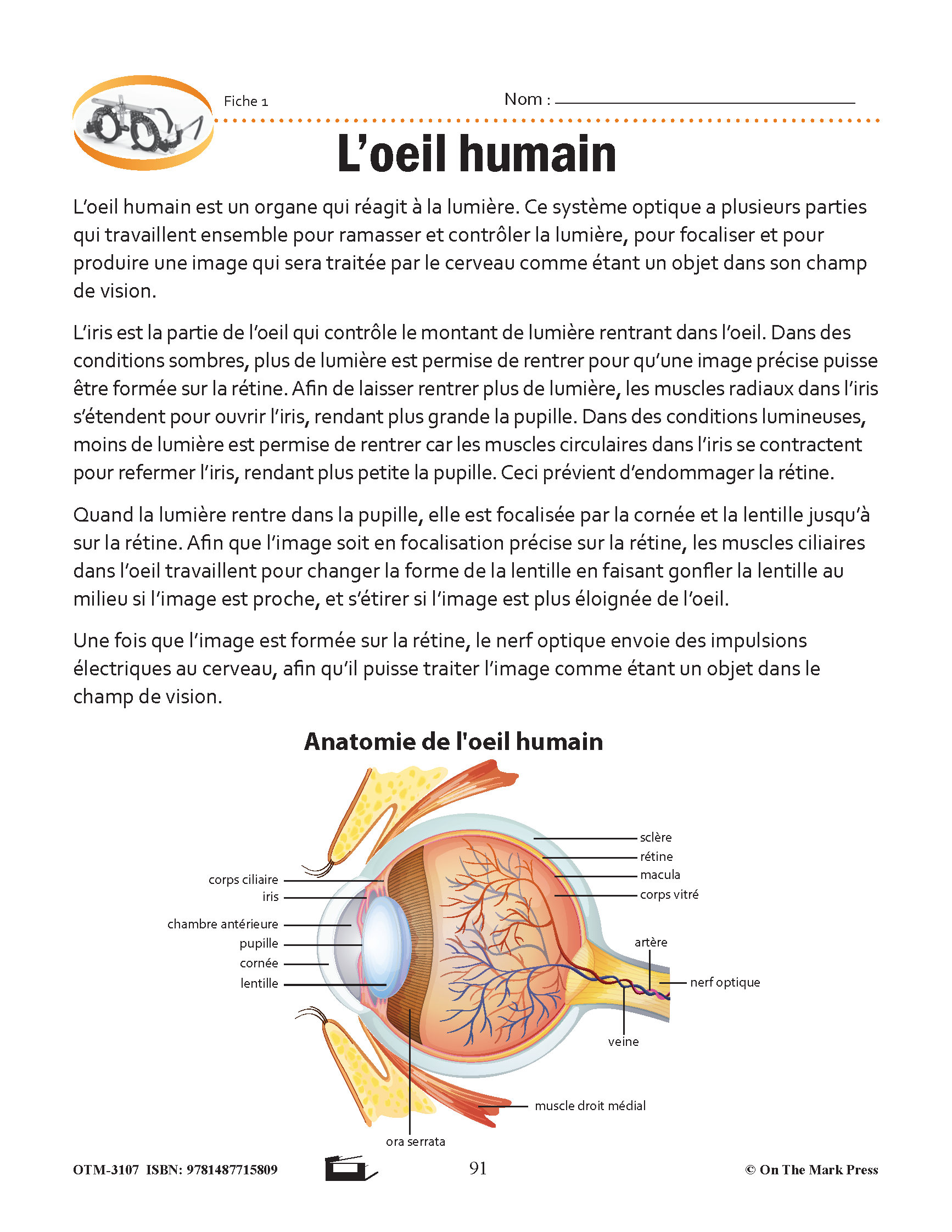 Sciences physiques 8e année