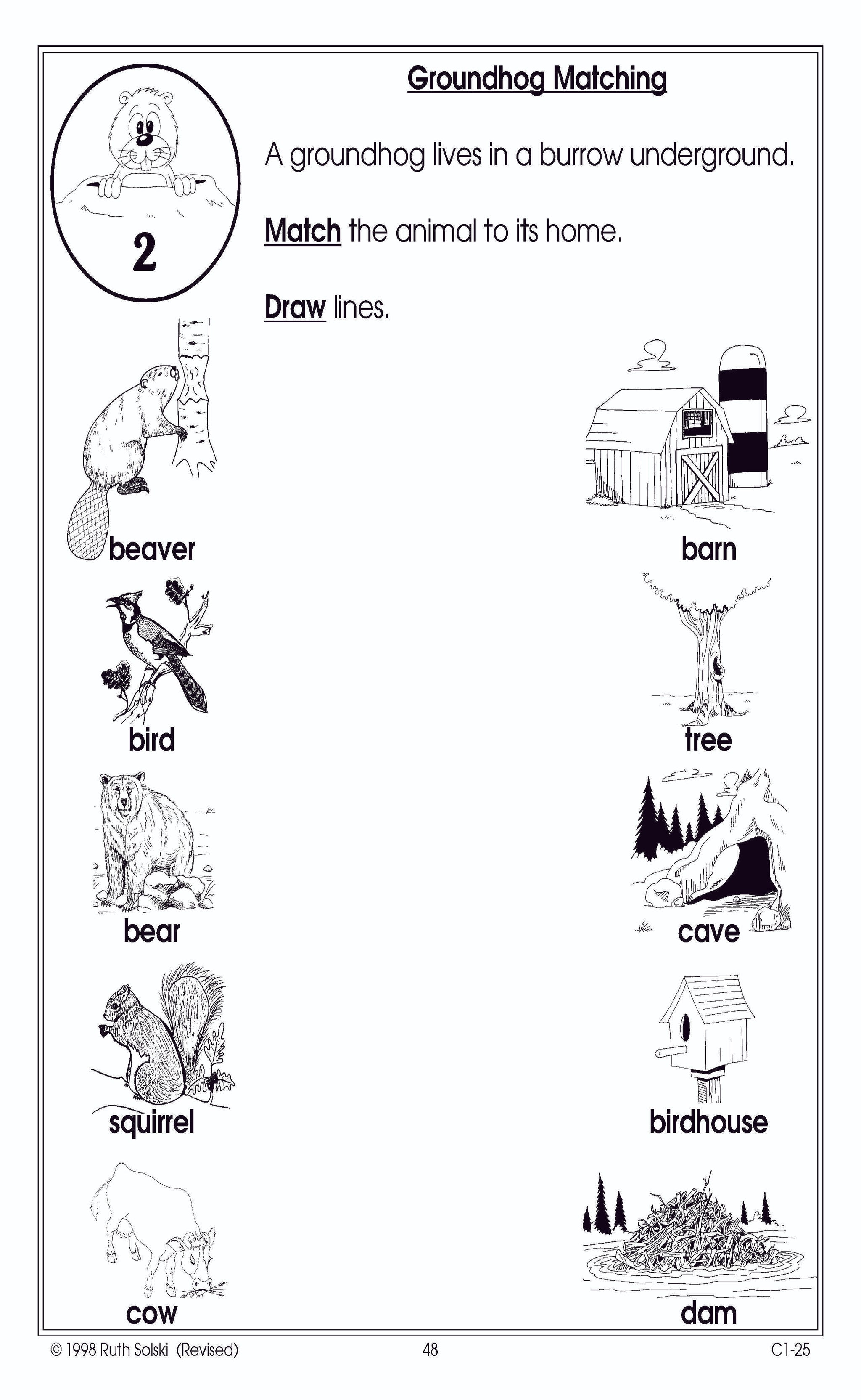 Groundhog Day Grade 1
