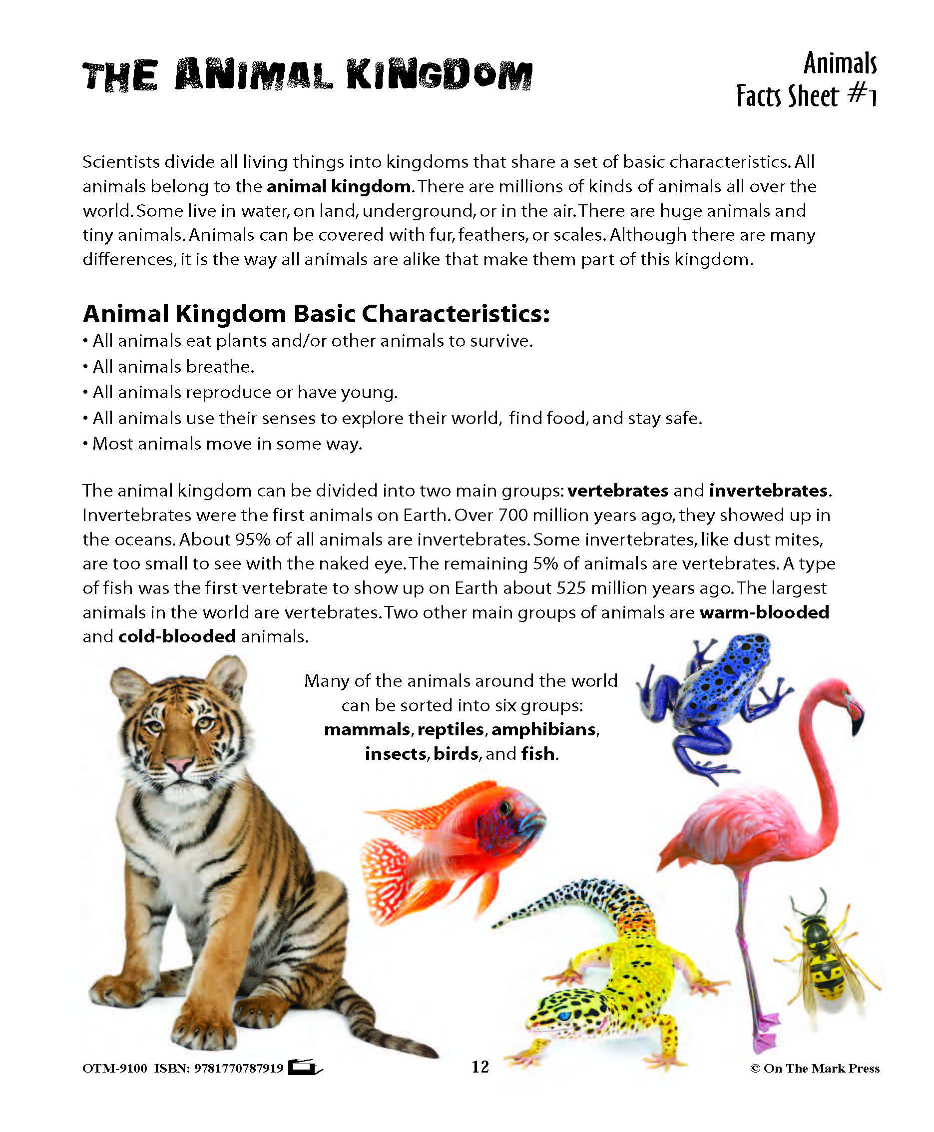 Animals: Student Reading Information & Worksheets Grades 3+